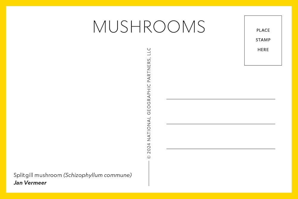 洋書 Mushrooms 510YtBQ+d0L._UF1000,1000_QL80_.jpg